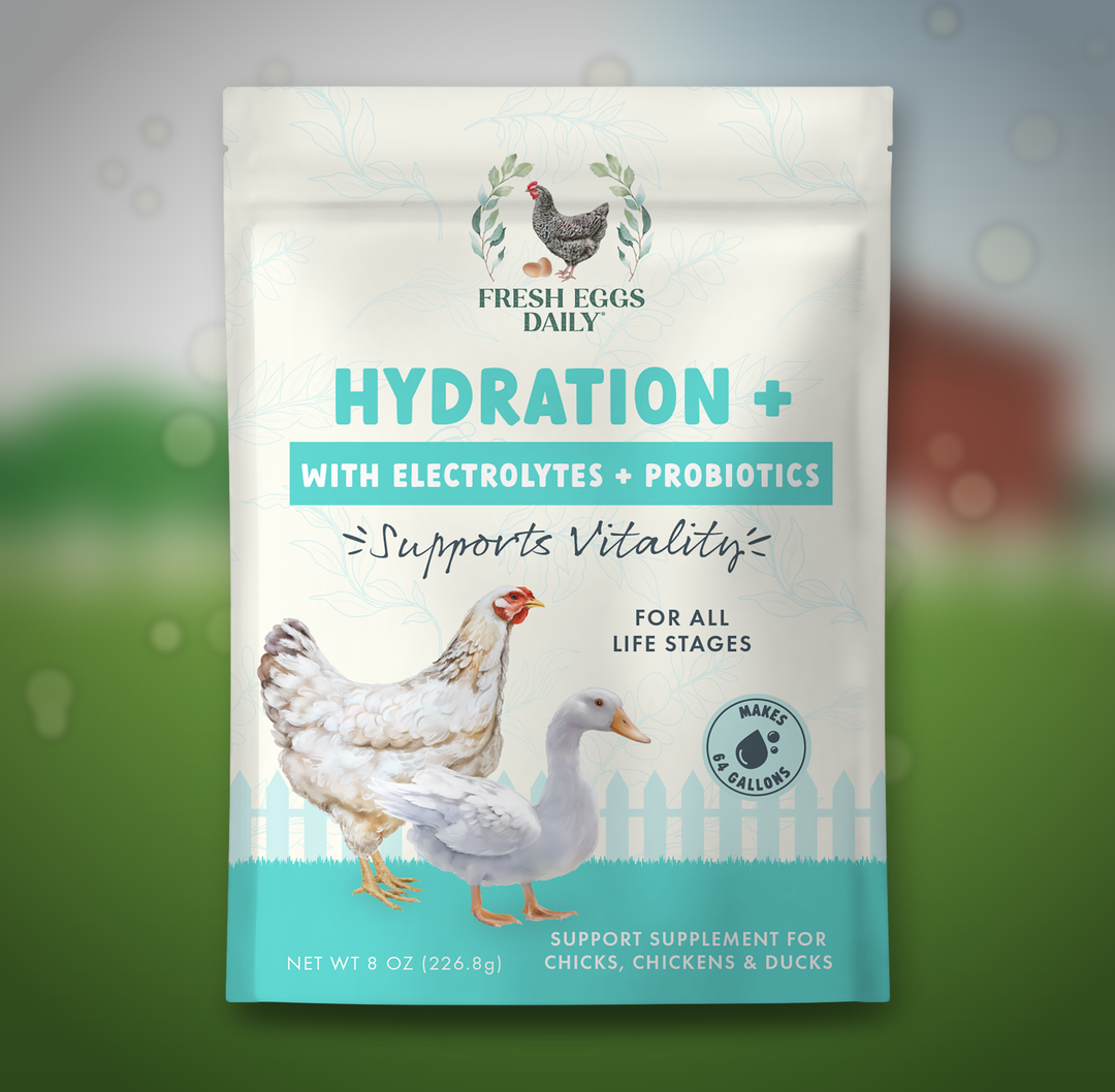 Best Chicken Vitamins & Immunity Boosters: 7 Options Compared (2026)
