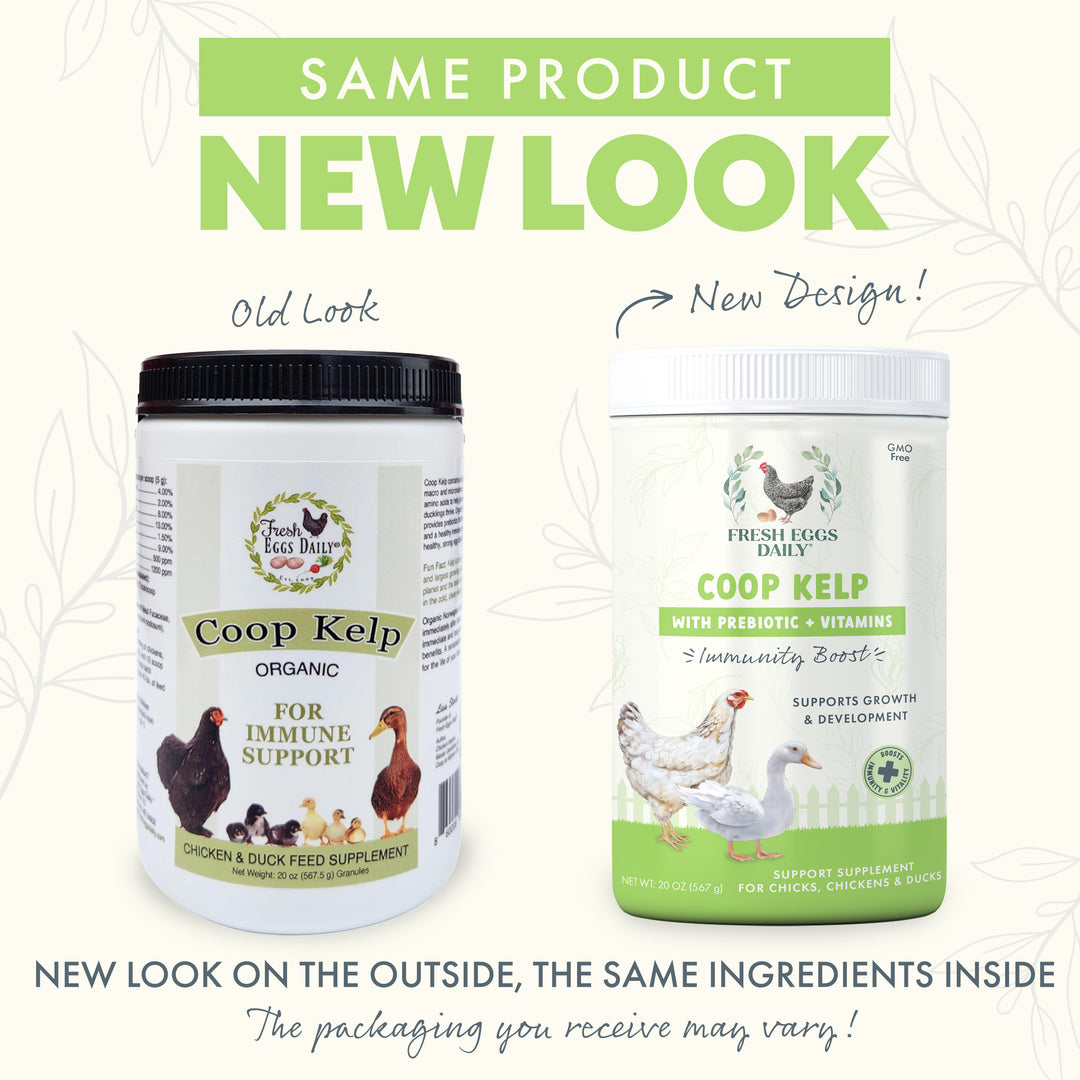 Coop Kelp Organic Chicken & Duck Supplement