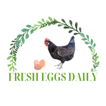 Fresh Eggs Daily Shop