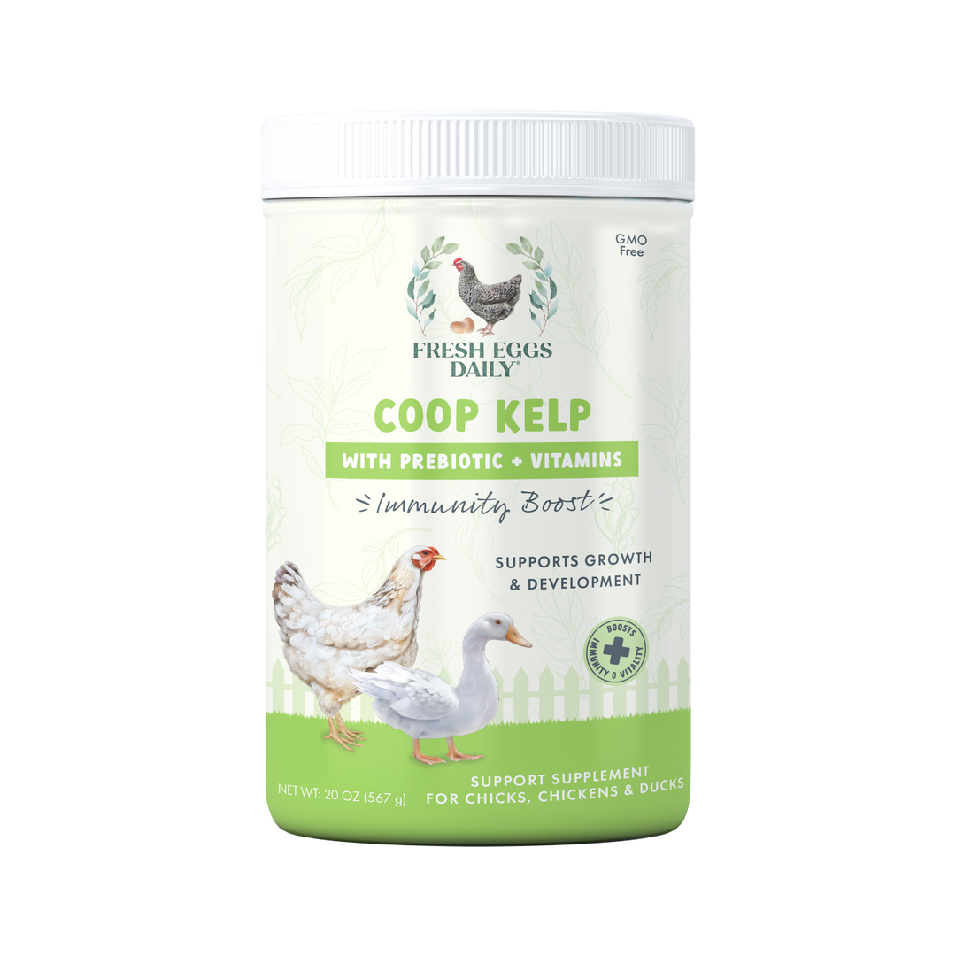 Coop Kelp Organic Chicken & Duck Supplement
