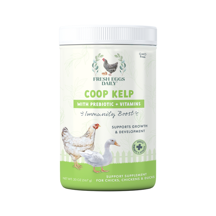 Coop Kelp Organic Chicken & Duck Supplement