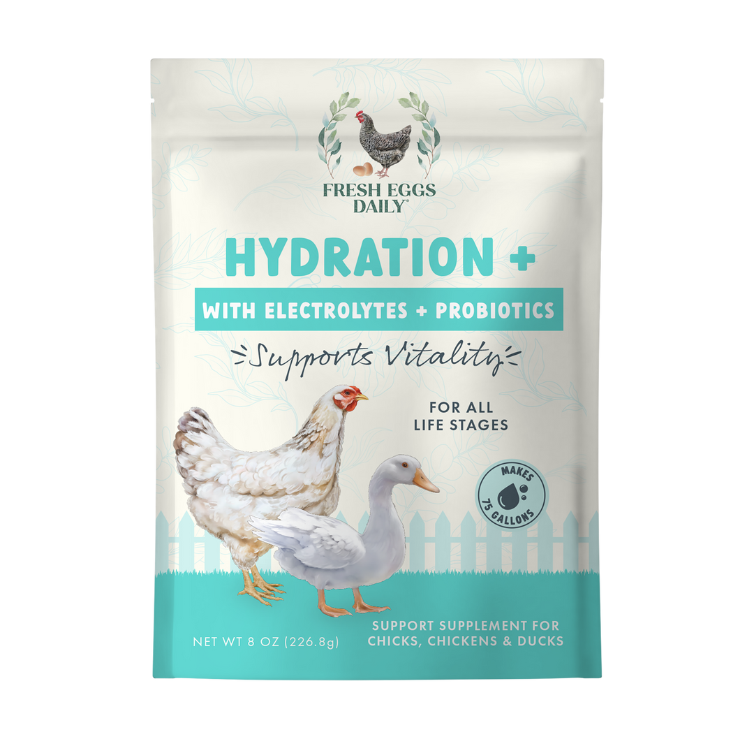 Hydration + 3 in 1 Electrolyte, Probiotic, Vitamins