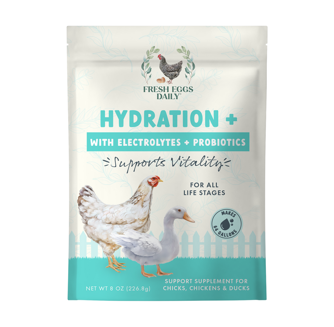 Hydration + 3 in 1 Electrolyte, Probiotic, Vitamins