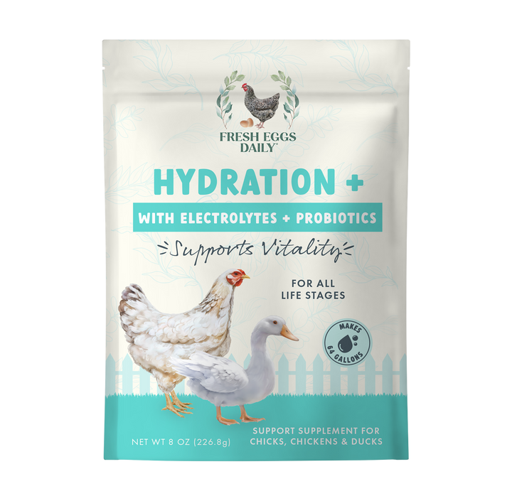 Hydration + 3 in 1 Electrolyte, Probiotic, Vitamins