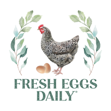 Fresh Eggs Daily Shop